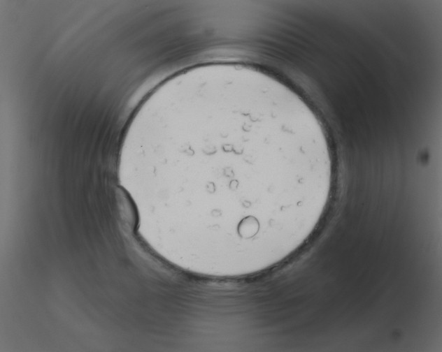 X0000115831465200912241946