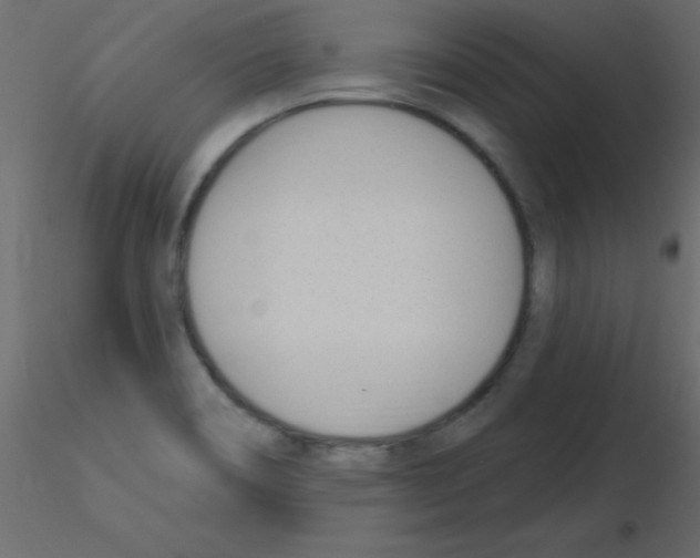 X0000115831466200912241946