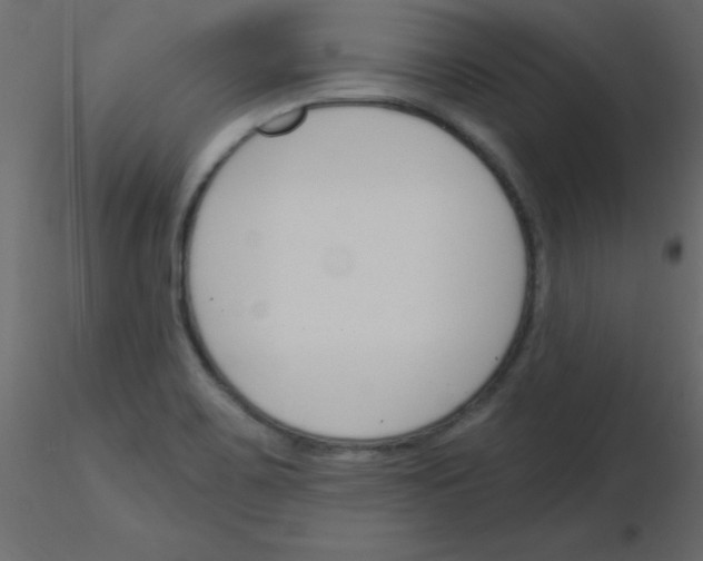 X0000115831467200912241946