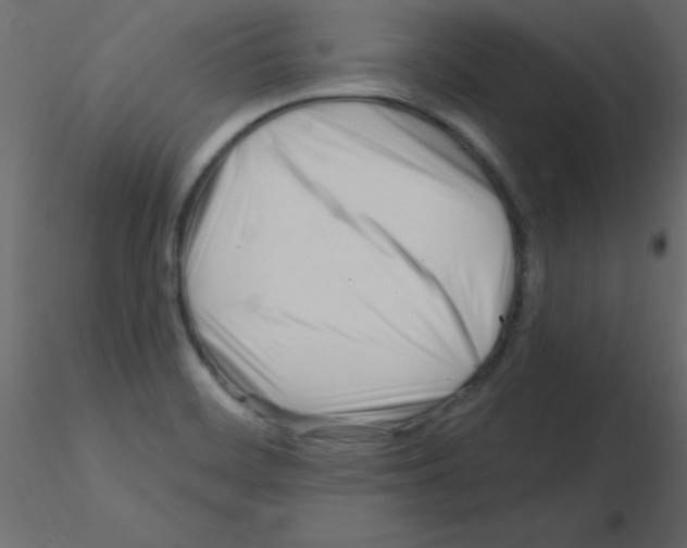 X0000115831468200912241946