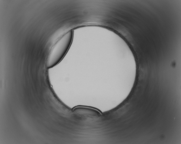 X0000115831469200912241946