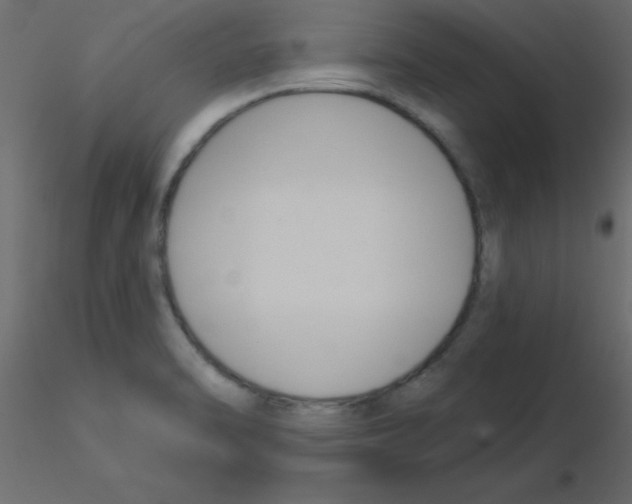 X0000115831470200912241946