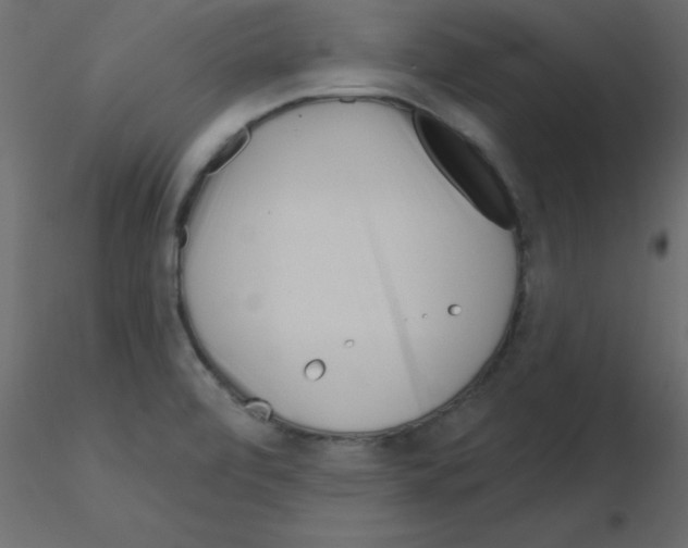 X0000115831472200912241945