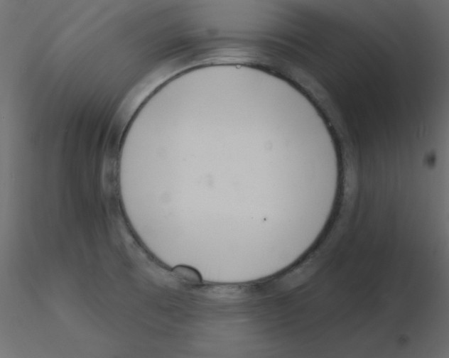 X0000115831473200912241945