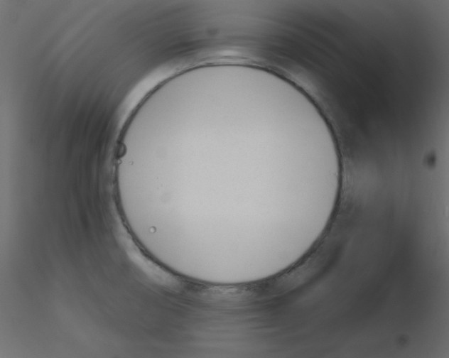 X0000115831474200912241945