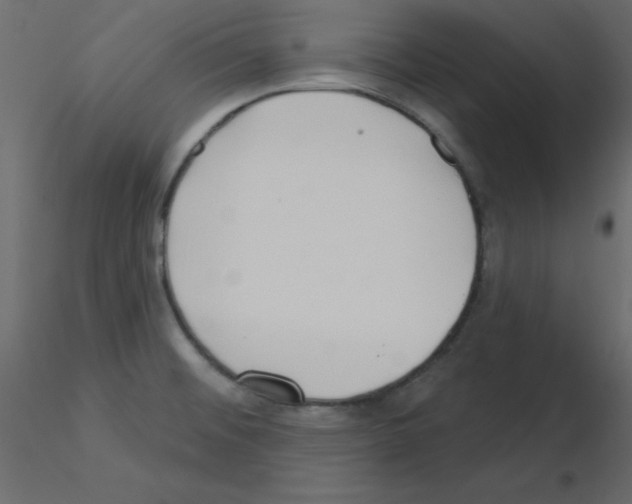 X0000115831476200912241945