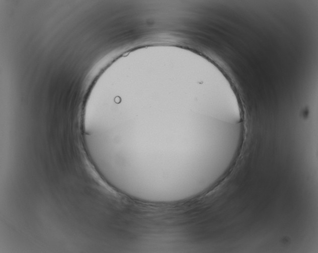 X0000115831477200912241945