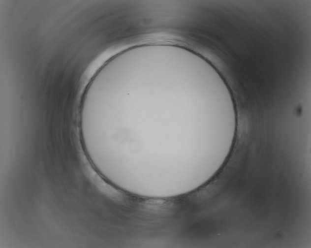 X0000115831478200912241945