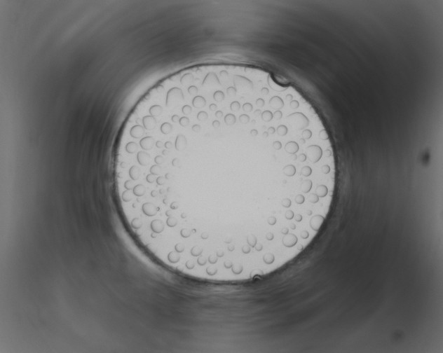 X0000115831479200912241945