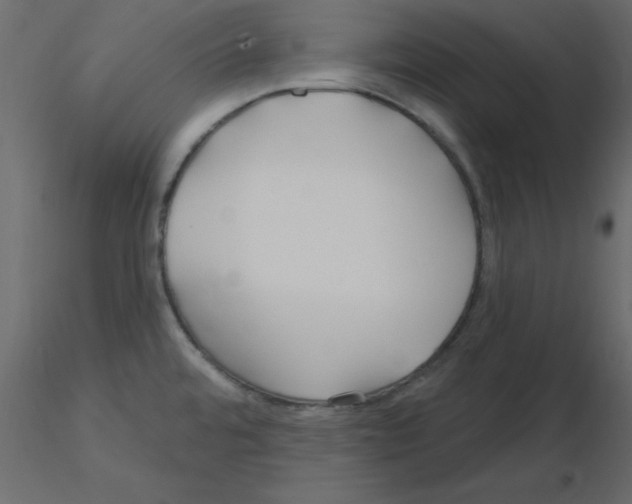 X0000115831480200912241945