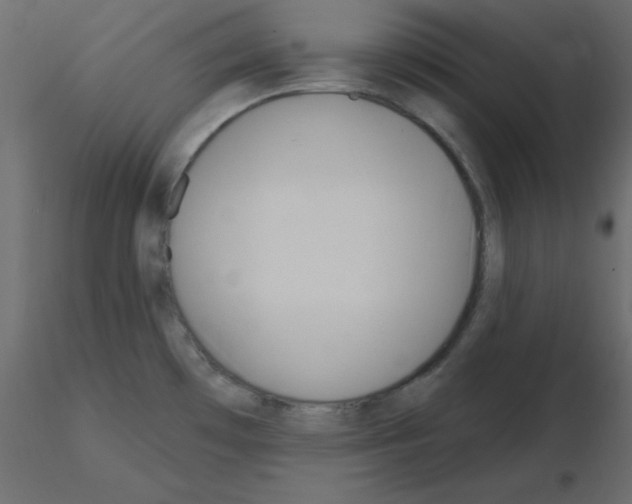 X0000115831481200912241945