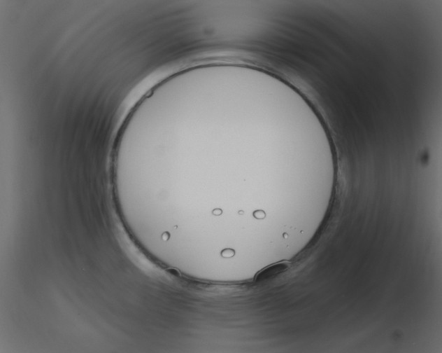 X0000115831482200912241945