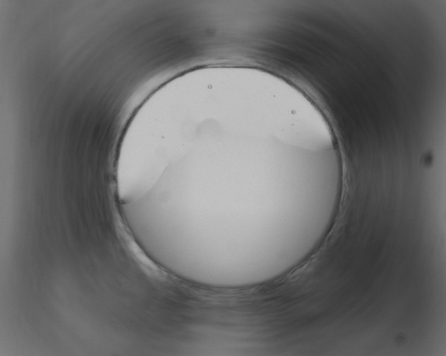 X0000115831485200912241945