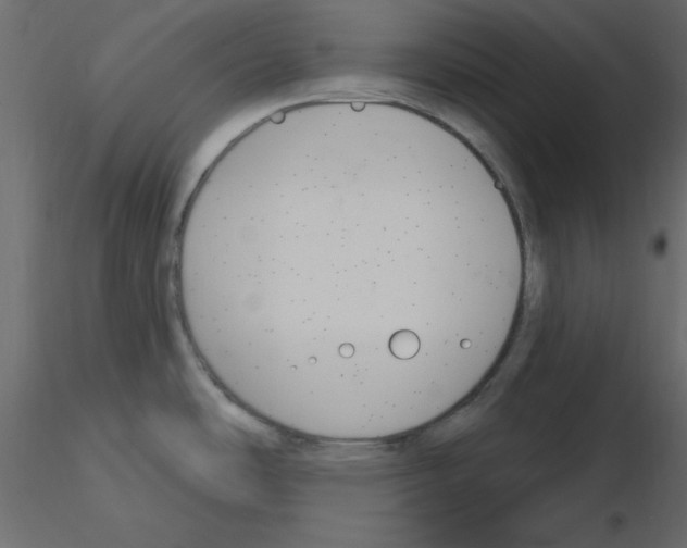 X0000115831486200912241945