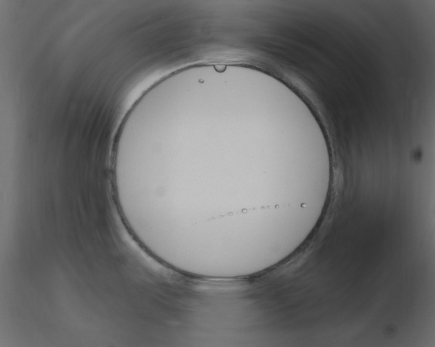 X0000115831487200912241945