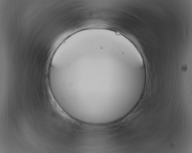 X0000115831488200912241945