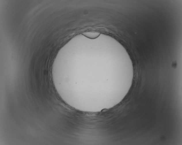 X0000115831489200912241945