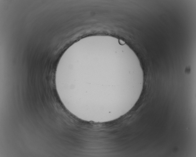 X0000115831490200912241945