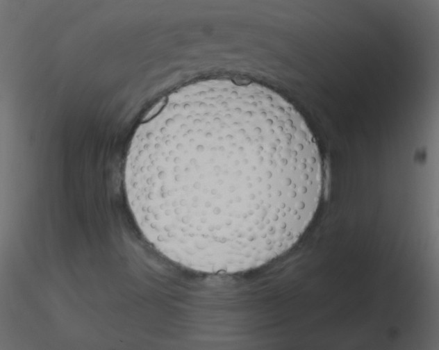 X0000115831491200912241945