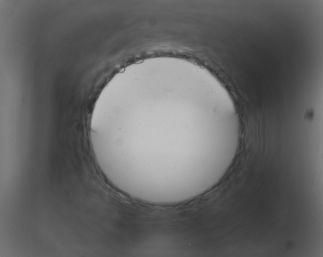 X0000115831493200912241945