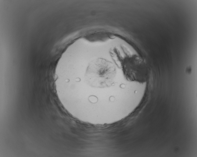 X0000115831494200912241945