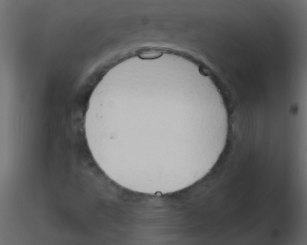 X0000115831495200912241945