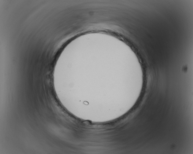 X0000115831497200912241945