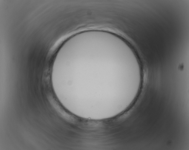 X0000115831498200912241945