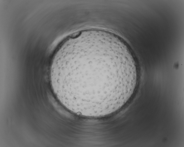 X0000115831499200912241945