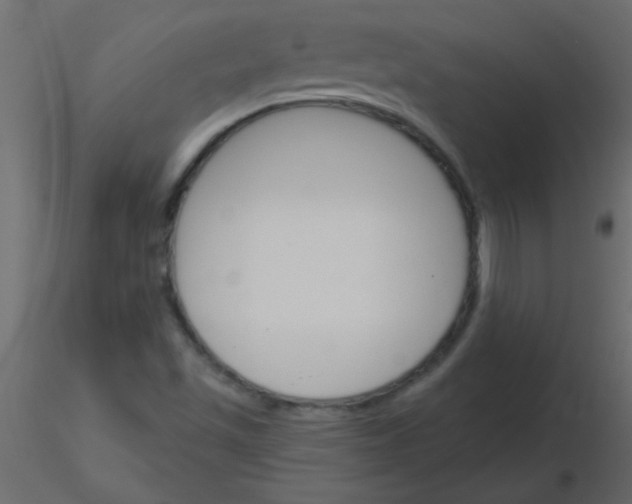 X0000115831501200912241945