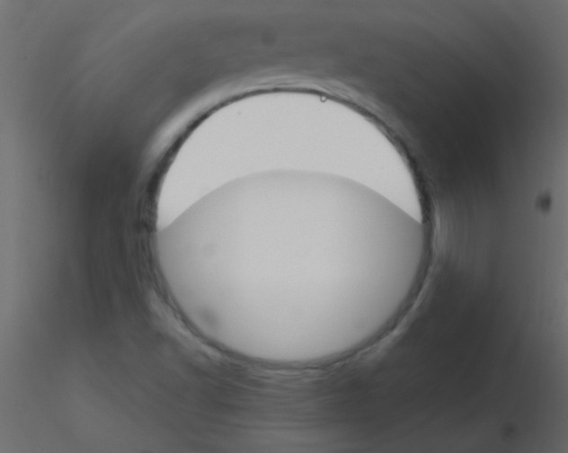 X0000115831502200912241945