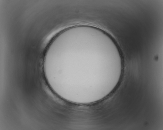 X0000115831503200912241945