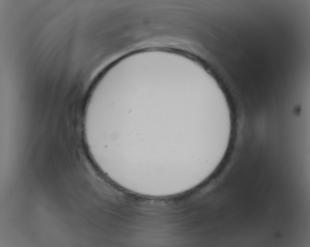 X0000115831505200912241945