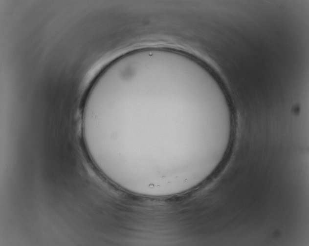 X0000115831509200912241945