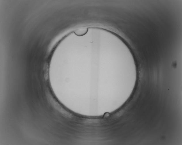 X0000115831510200912241945