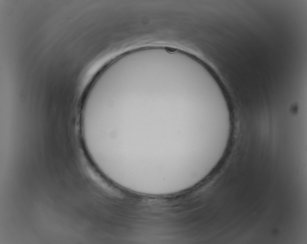 X0000115831511200912241945