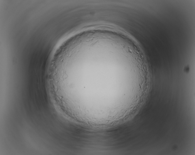 X0000115831514200912241945