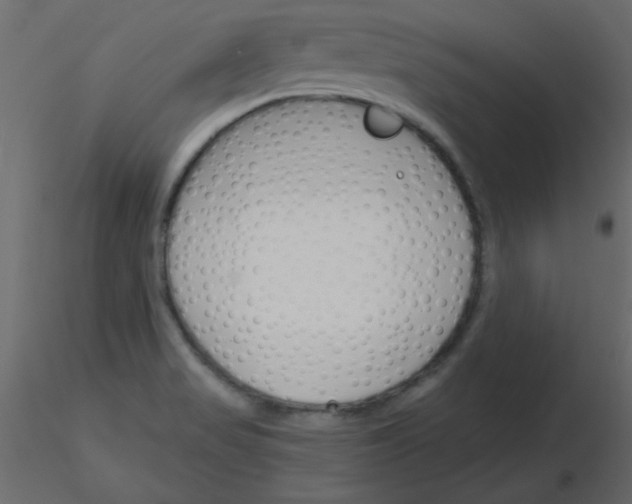 X0000115831517200912241945