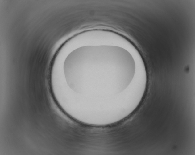 X0000115831518200912241945