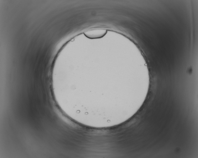 X0000115831519200912241945