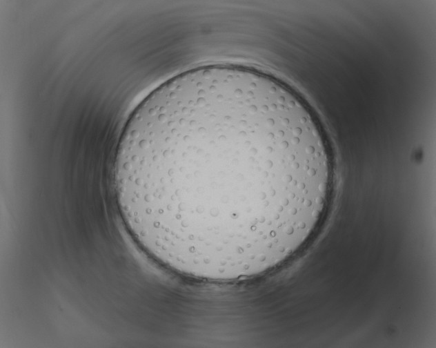 X0000115831521200912241945