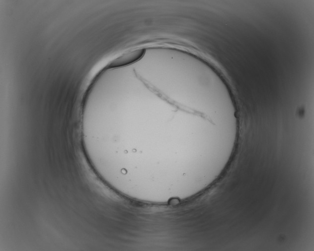 X0000115831522200912241945