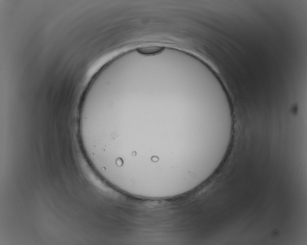 X0000115831523200912241945