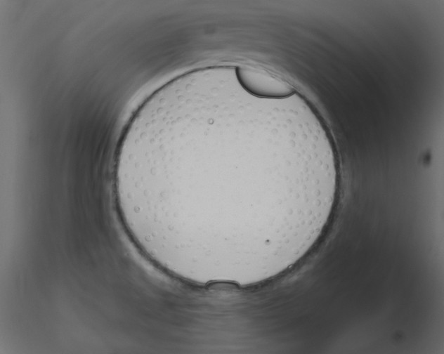 X0000115831525200912241945