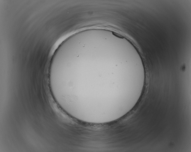 X0000115831530200912241945