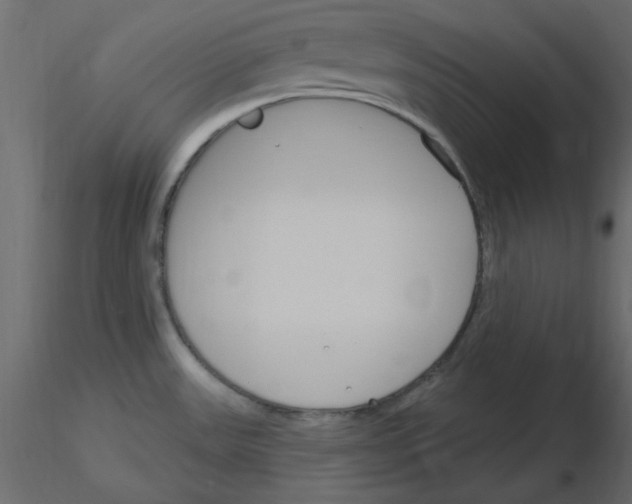 X0000115831531200912241945