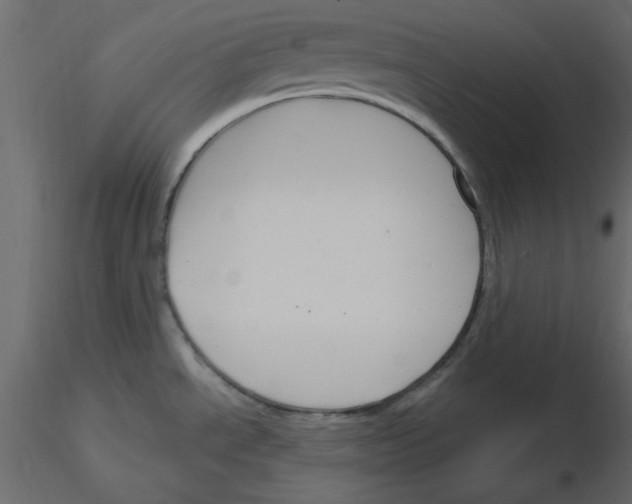 X0000115831534200912241945