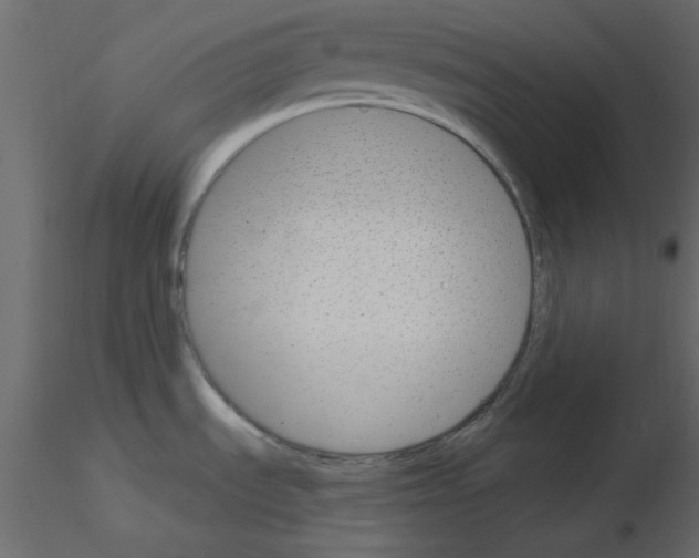 X0000115831535200912241945