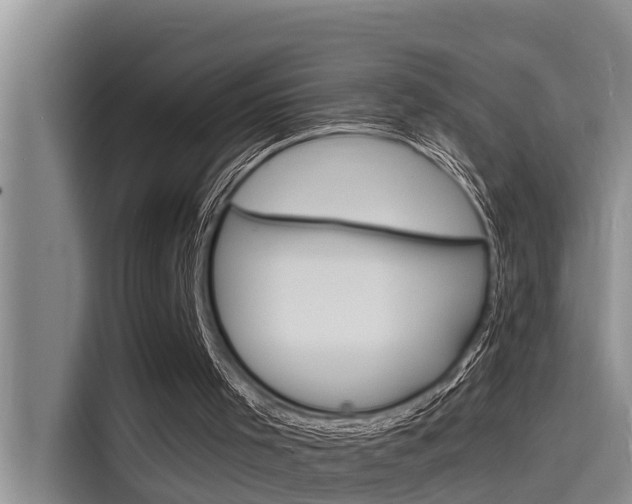 X0000115840001200911131115