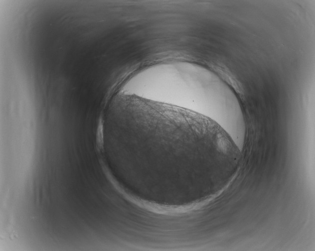 X0000115840014200911131115